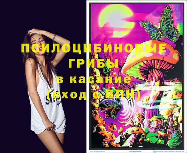 круглые Армянск