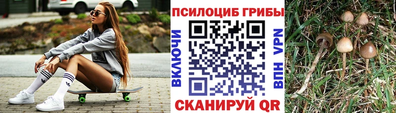 Псилоцибиновые грибы мухоморы  Заинск 